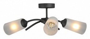 Люстра на штанге Vitaluce V2850 V2850-1/3PL в Салехарде - salekhard.mebel24.online | фото