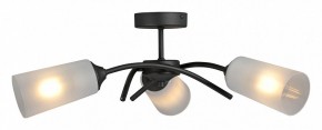 Люстра на штанге Vitaluce V2850 V2850-1/3PL в Салехарде - salekhard.mebel24.online | фото 3