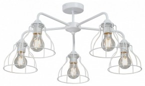 Люстра на штанге Vitaluce V3102 V3102-0/5PL в Салехарде - salekhard.mebel24.online | фото
