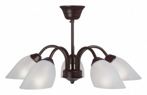 Люстра на штанге Vitaluce V3335 V3335-7/5PL в Салехарде - salekhard.mebel24.online | фото
