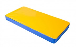 Мат гимнастический 1х0,5х0,08м цв. синий-желтый в Салехарде - salekhard.mebel24.online | фото 1