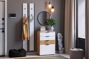 МЕБЕЛЬСОН К21 Прихожая в Салехарде - salekhard.mebel24.online | фото