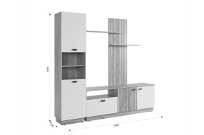 МОДИ К1 Гостиная (белое дерево) в Салехарде - salekhard.mebel24.online | фото 2