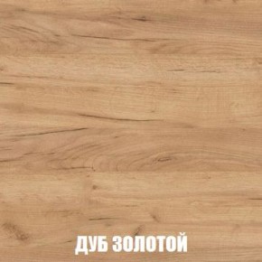 МСП-1 Шкаф 2-х створчатый (Дуб Золотой/Камень темный) в Салехарде - salekhard.mebel24.online | фото 4