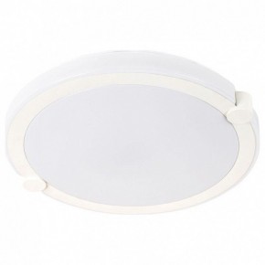 Накладной светильник Arte Lamp Biscotti A2679PL-72WH в Салехарде - salekhard.mebel24.online | фото