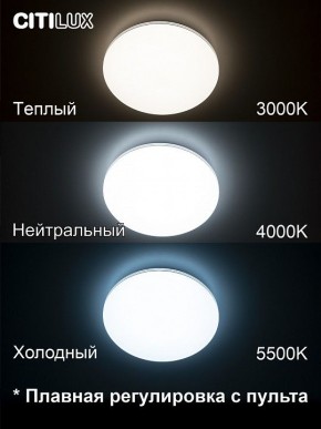 Накладной светильник Citilux Симпла CL714330G в Салехарде - salekhard.mebel24.online | фото 4