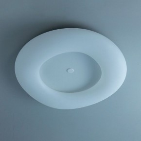 Накладной светильник Citilux Стратус Смарт CL732A800G в Салехарде - salekhard.mebel24.online | фото 10