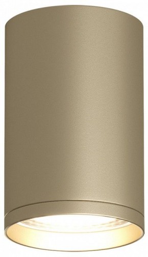 Накладной светильник Denkirs TUBE DK2050-SG в Салехарде - salekhard.mebel24.online | фото 2