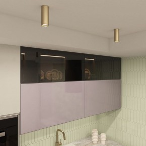 Накладной светильник Denkirs TUBE DK2051-SG в Салехарде - salekhard.mebel24.online | фото 4