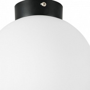 Накладной светильник Lightstar Globo 812027 в Салехарде - salekhard.mebel24.online | фото 2
