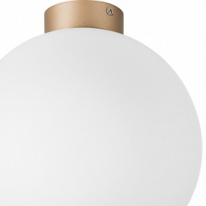 Накладной светильник Lightstar Globo 812033 в Салехарде - salekhard.mebel24.online | фото 2