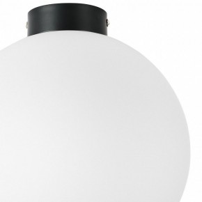 Накладной светильник Lightstar Globo 812037 в Салехарде - salekhard.mebel24.online | фото 3