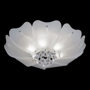 Накладной светильник Lightstar Lobo 804020 в Салехарде - salekhard.mebel24.online | фото 2