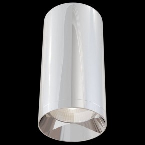 Накладной светильник Maytoni Focus C010CL-01CH в Салехарде - salekhard.mebel24.online | фото 2