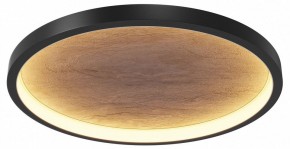 Накладной светильник Maytoni Orign MOD311CL-L40B3K в Салехарде - salekhard.mebel24.online | фото