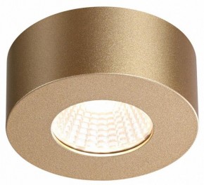Накладной светильник Odeon Light Bene 4284/7CL в Салехарде - salekhard.mebel24.online | фото 4
