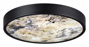 Накладной светильник Odeon Light Bergi 5064/30L в Салехарде - salekhard.mebel24.online | фото 4