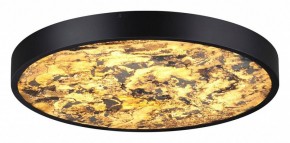 Накладной светильник Odeon Light Bergi 5064/40L в Салехарде - salekhard.mebel24.online | фото 2