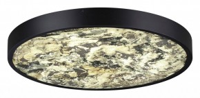 Накладной светильник Odeon Light Bergi 5064/40L в Салехарде - salekhard.mebel24.online | фото 3