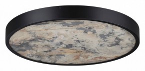Накладной светильник Odeon Light Bergi 5064/40L в Салехарде - salekhard.mebel24.online | фото 6
