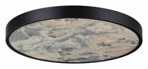 Накладной светильник Odeon Light Bergi 5064/50L в Салехарде - salekhard.mebel24.online | фото 3