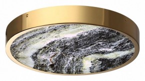 Накладной светильник Odeon Light Bergi 5079/30L в Салехарде - salekhard.mebel24.online | фото 3