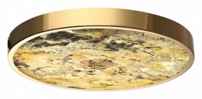 Накладной светильник Odeon Light Bergi 5079/40L в Салехарде - salekhard.mebel24.online | фото 2