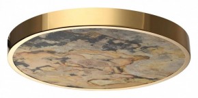 Накладной светильник Odeon Light Bergi 5079/40L в Салехарде - salekhard.mebel24.online | фото 4