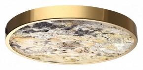Накладной светильник Odeon Light Bergi 5079/40L в Салехарде - salekhard.mebel24.online | фото 6