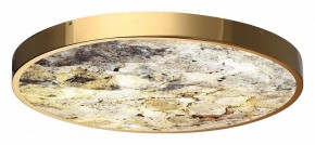 Накладной светильник Odeon Light Bergi 5079/50L в Салехарде - salekhard.mebel24.online | фото 5