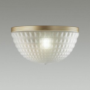 Накладной светильник Odeon Light Malaga 4936/1W в Салехарде - salekhard.mebel24.online | фото 2