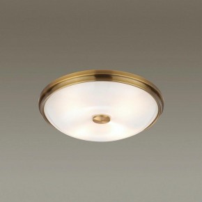 Накладной светильник Odeon Light Pelow 4956/4 в Салехарде - salekhard.mebel24.online | фото 2