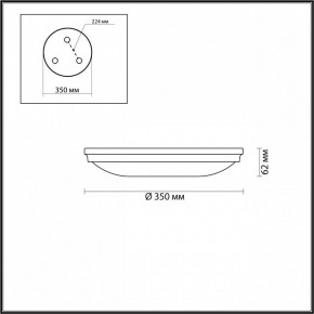 Накладной светильник Odeon Light Pelow 4956/4 в Салехарде - salekhard.mebel24.online | фото 3