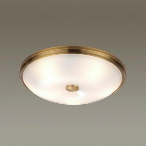 Накладной светильник Odeon Light Pelow 4956/5 в Салехарде - salekhard.mebel24.online | фото 2