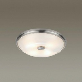 Накладной светильник Odeon Light Pelow 4957/4 в Салехарде - salekhard.mebel24.online | фото 2
