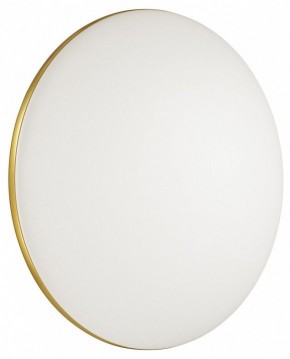 Накладной светильник Sonex Lassa 3043/DL в Салехарде - salekhard.mebel24.online | фото 4