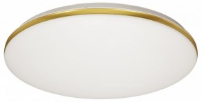 Накладной светильник Sonex Lassa 3043/DL в Салехарде - salekhard.mebel24.online | фото 5