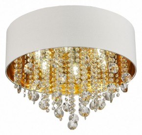Накладной светильник ST-Luce Lacchia SL1350.502.06 в Салехарде - salekhard.mebel24.online | фото 3