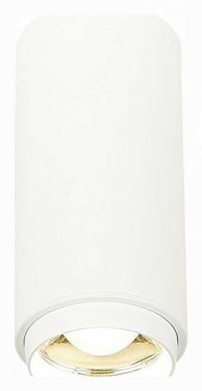 Накладной светильник ST-Luce Zoom ST600.542.10 в Салехарде - salekhard.mebel24.online | фото 2
