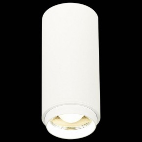 Накладной светильник ST-Luce Zoom ST600.542.10 в Салехарде - salekhard.mebel24.online | фото 3