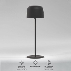 Настольная лампа декоративная Elektrostandard Bitty a069002 в Салехарде - salekhard.mebel24.online | фото 2