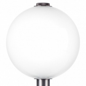 Настольная лампа декоративная Lightstar Colore 805916 в Салехарде - salekhard.mebel24.online | фото 6