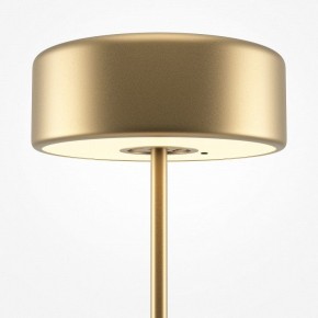 Настольная лампа декоративная Maytoni AI Collaboration MOD229TL-L3G3K2 в Салехарде - salekhard.mebel24.online | фото 4