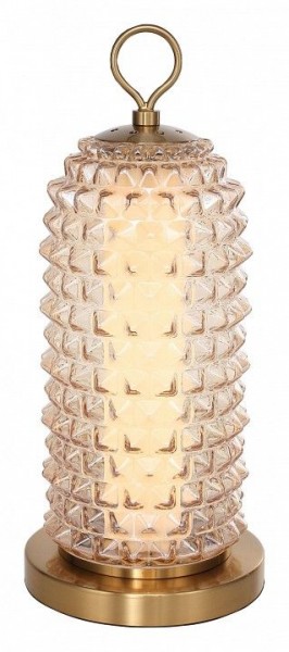 Настольная лампа декоративная ST-Luce SAGUARO SL6144.304.01 в Салехарде - salekhard.mebel24.online | фото 2
