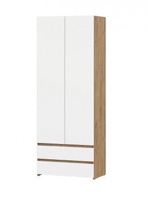 НЕКСТ 1 Шкаф двухстворчатый с ящиками в Салехарде - salekhard.mebel24.online | фото
