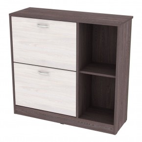 Обувница W29 (ЯАТ-ЯАС) в Салехарде - salekhard.mebel24.online | фото