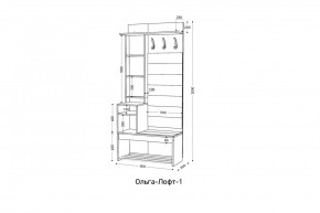 ОЛЬГА-ЛОФТ 1 Прихожая в Салехарде - salekhard.mebel24.online | фото 3