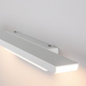 Подсветка для картины Elektrostandard Sankara a038372 в Салехарде - salekhard.mebel24.online | фото 3