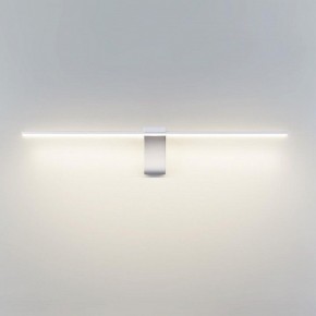 Подсветка для картины Odeon Light Tiny 7070/8WL в Салехарде - salekhard.mebel24.online | фото 2