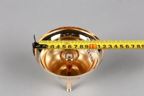 Подвесная люстра Aployt Daniele APL.701.03.12 в Салехарде - salekhard.mebel24.online | фото 6